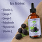 Black Raspberry Seed Oil