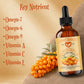 Sea Buckthorn Oil