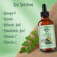 Moringa Oil
