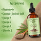 Hemp Seed Oil