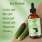 Cucumber Seed Oil