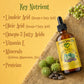 Black Castor Oil