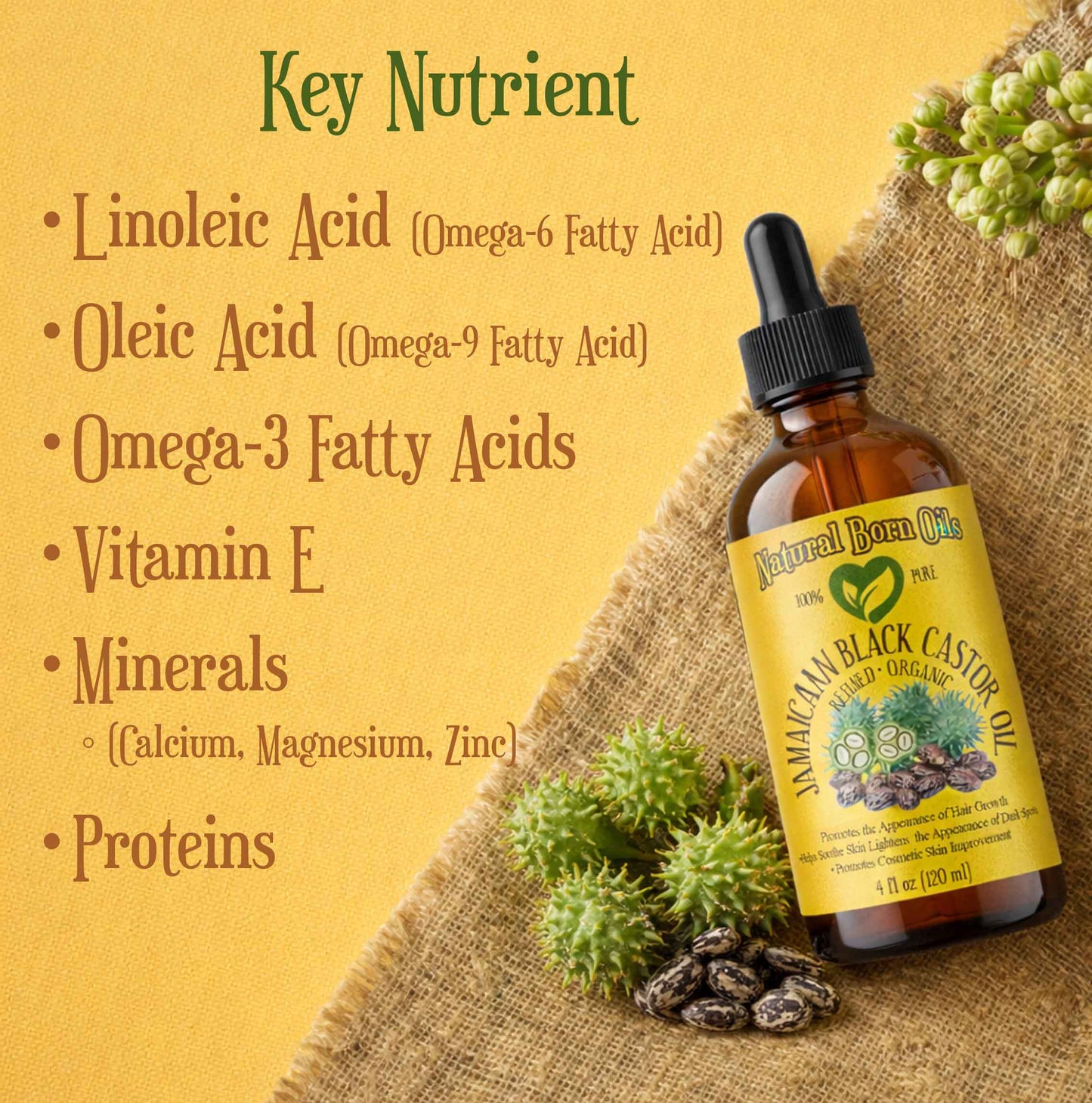 Black Castor Oil