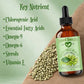 Green Coffee Bean Oil