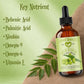 Neem Seed Oil