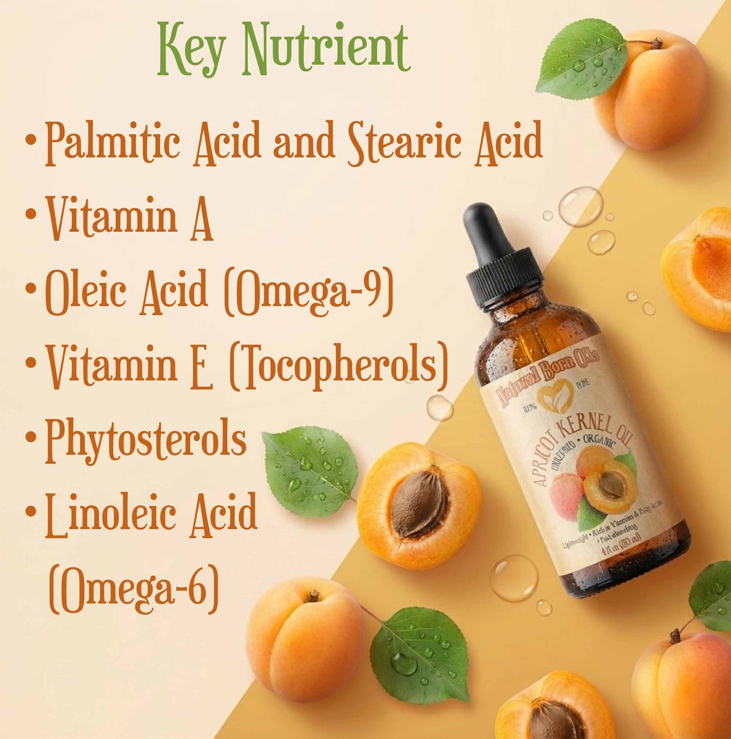Bottle of apricot kernel oil with apricots and a list of key nutrients on a beige background