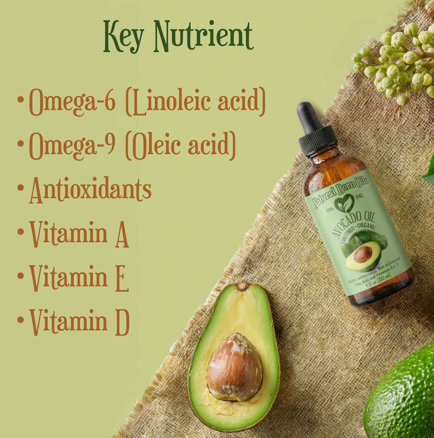 Avocado oil bottle with key nutrients listed on a green background