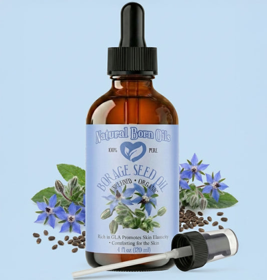 Bottle of Natural Born Oils borage seed oil with dropper on a light blue background