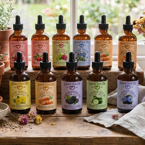 Collection of various tincture bottles on a wooden surface with a window in the background.